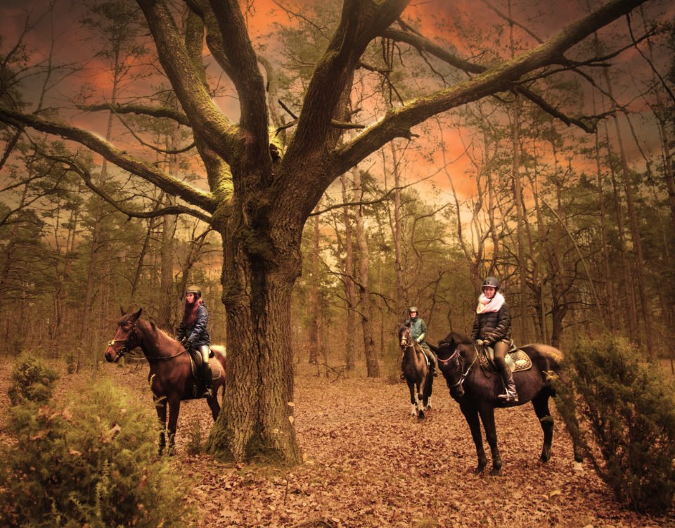 Grupa miłośników koni