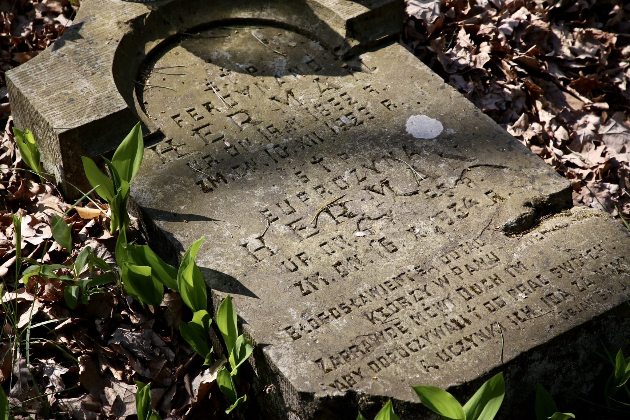 Cmentarz ewangelicki w Aleksandrowie