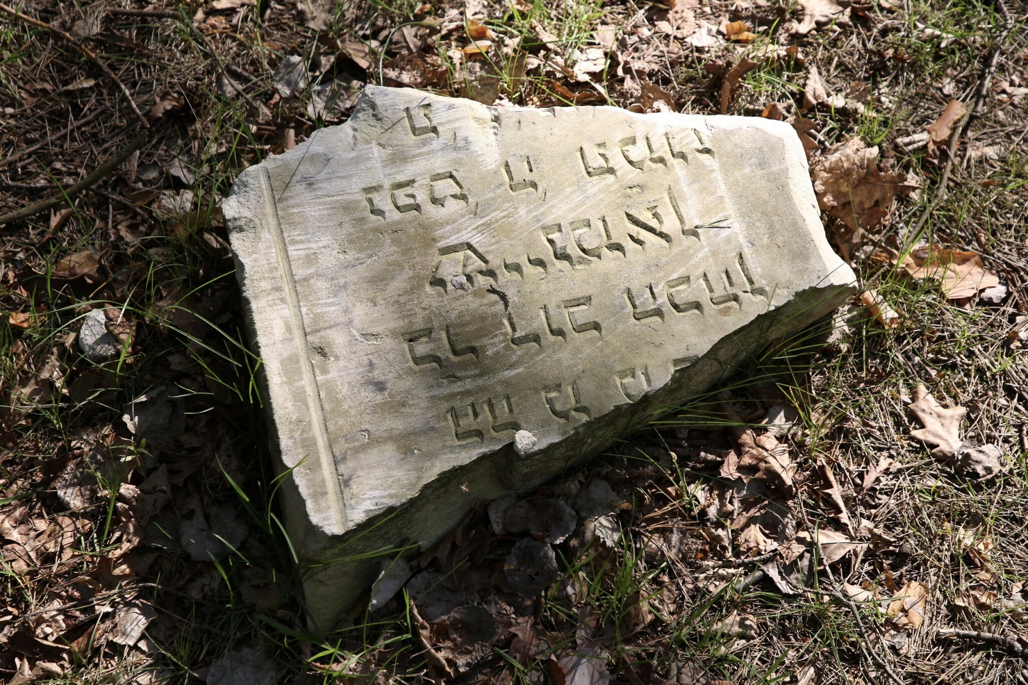 Cmentarz żydowski (kirkut) w Radości